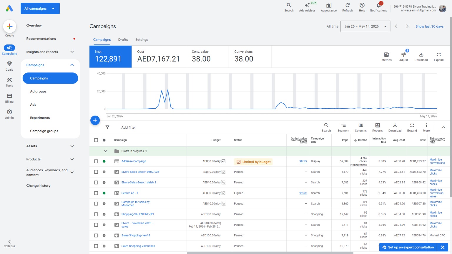 Google Ads campaign performance report for a Control Shift ecommerce client